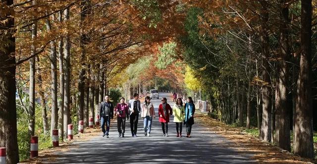 陕西日报刊发丨留坝:享“秦岭十景、十色生活”