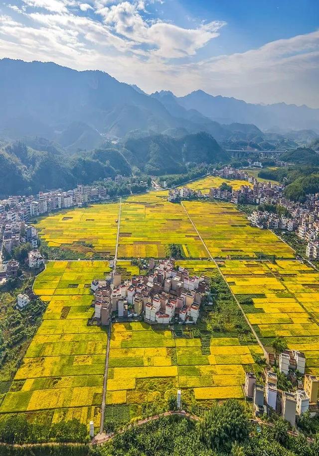 秋日限定！速来围观肇庆的绝美风光~