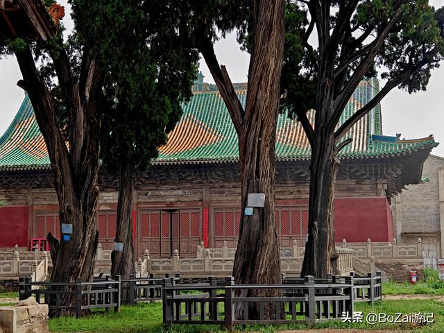 七百年古柏立，琉璃瓦蒙尘，这座文庙惊艳又凄惶
