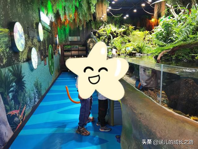 最新天津极地海洋馆一日游攻略——亲测实用!所有演出都可看完!