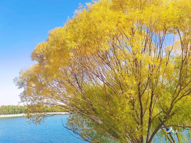 才几天没去,这个公园最近居然变成这样了?!