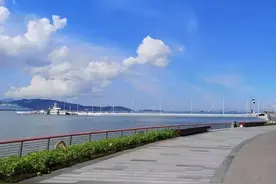 深圳湾生态好，每年上万只候鸟来此过冬；远眺香港，美景尽收眼底图片