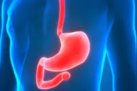 萎缩性胃炎怎么吃？老中医推荐三种菜，调脾养胃效果佳图片