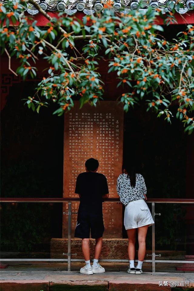 给生活充充电，与大佛共赏一山秋色