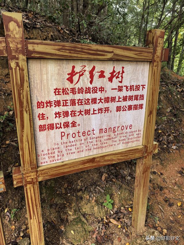 永葆兵本色 树好党员样——闽西红色之旅纪行之一