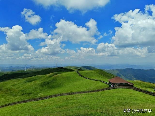 夏日静享阿西里西大草原的那份清凉时光