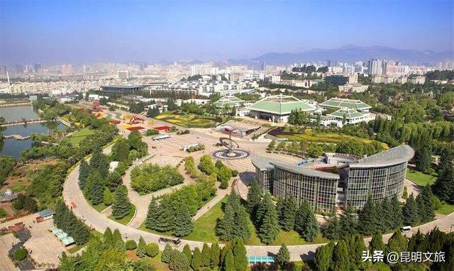 探索自然野趣、探秘植物王国……带孩子来昆明避暑，走这条线路必游！