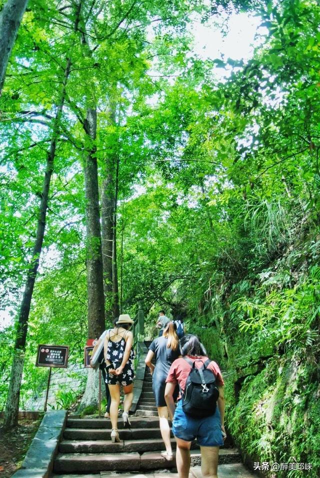 聆听邛崃丨竹溪湖：流淌在山水间的诗