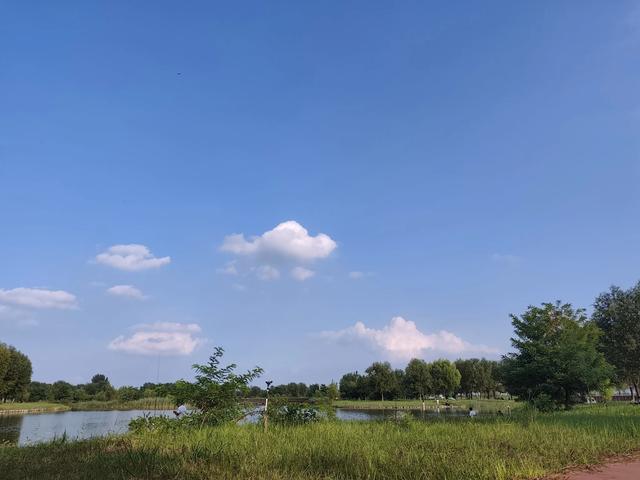 穷游去哪玩?第三十站站～《石家庄滹沱河观鸟台》