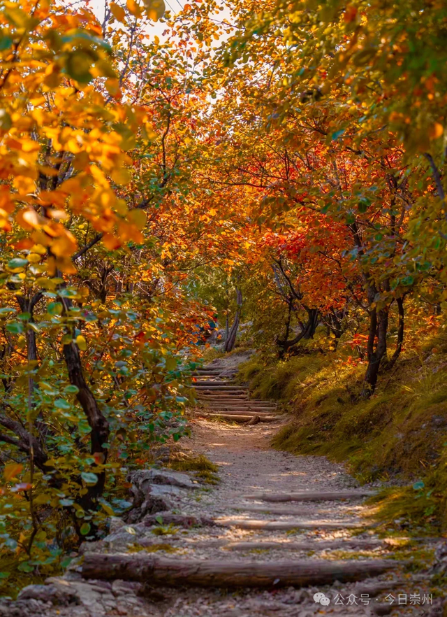 秋假去哪？崇州这些亲子游宝藏地不容错过