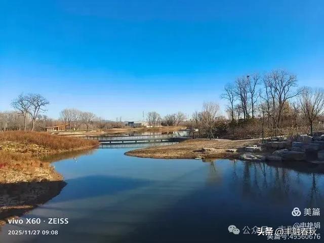 初冬北京玉河湿地公园游记|申艳娟