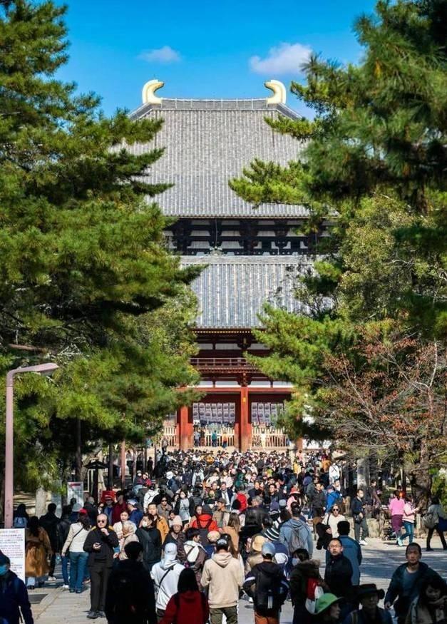 大批中国人依然去日本旅游，日媒追问时，他们的回答太扎心了