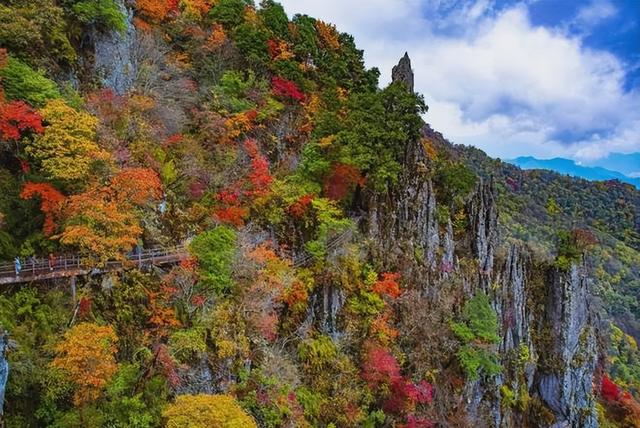 安康南宫山：五彩秋色惹人醉