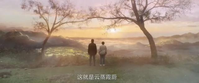 “河南大爷让巴黎文旅一年白干”，这“素颜”打卡照为啥网友狂夸