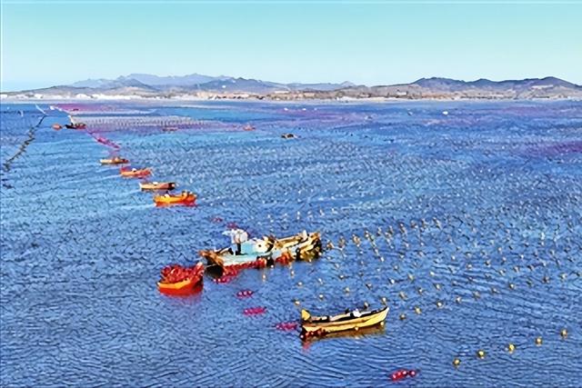 大国重器！沙海粮仓之后再现海上粮仓，15万吨级国字号重器成关键