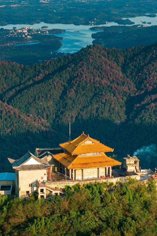 红了！武汉5000余亩红叶树，集体变色