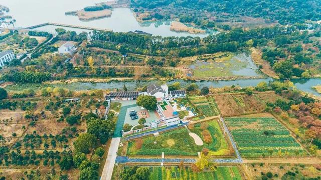 今天，《新华日报》整版聚焦吴中！