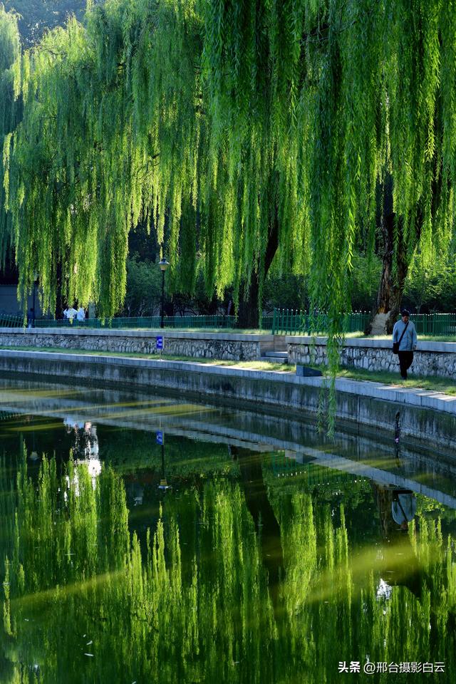 达活泉公园绿草如茵，碧波荡漾（图）
