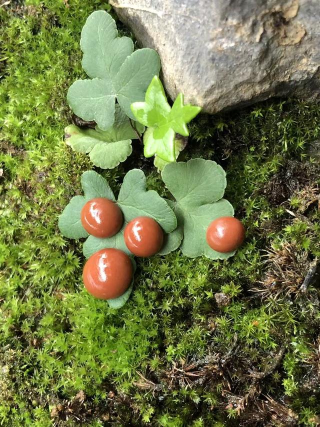 保山南红玛瑙的消费层级（收藏级，中端消费，低端消费