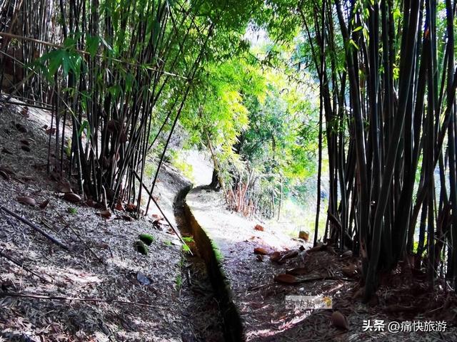 行走自贡：俞冲至万场的乡村风光