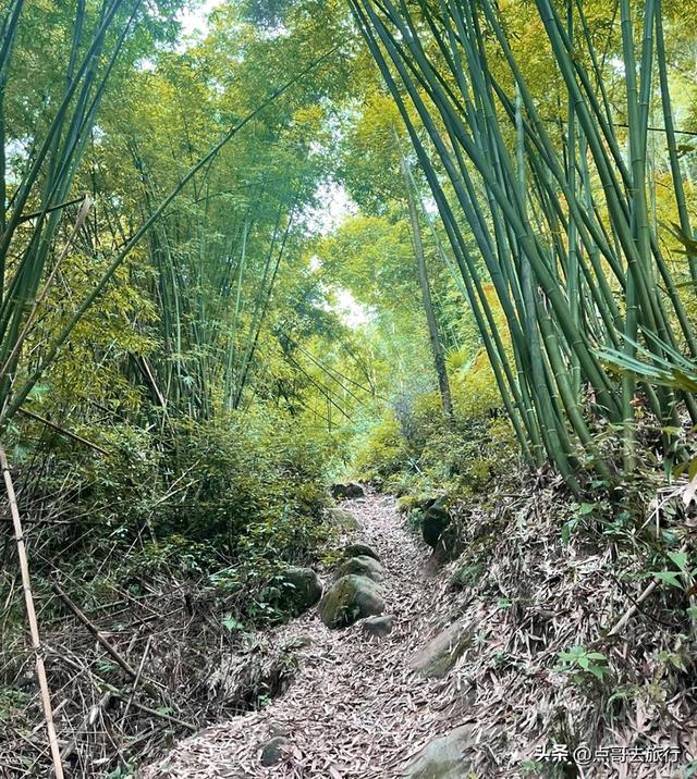 彭州人私藏的精品徒步路线，没有拥挤的人潮，可以吃斋饭！