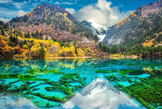 退休旅行清单！12个5A景区藏着惊喜，第2个适合拍大片