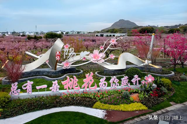阳山村：从“桃香四溢”到“诗意栖居”的乡村谍变之路