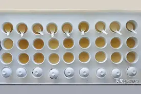 史上最全普洱茶盖碗冲泡测评！不同普洱茶怎么泡最好喝？图片