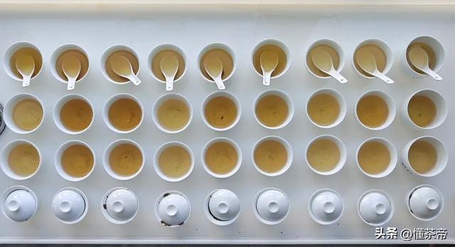 史上最全普洱茶盖碗冲泡测评！不同普洱茶怎么泡最好喝？