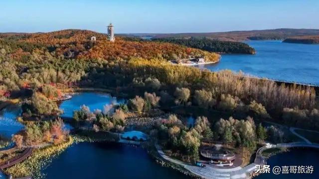 长春城市绿肺！我在净月潭洗了场22度森林浴，还乘了夜光星空缆车