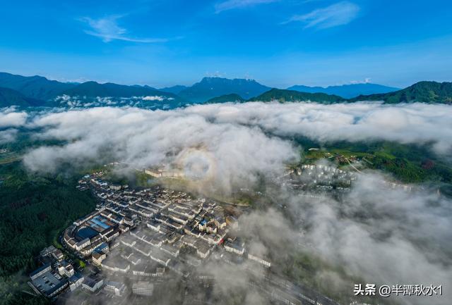 清凉经济热力十足！洪雅瓦屋山镇成避暑“顶流”