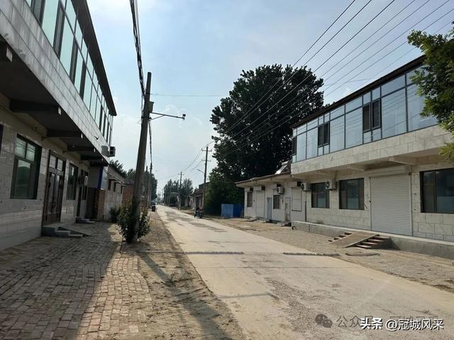 冠县乡韵·辛集镇丁刘八寨