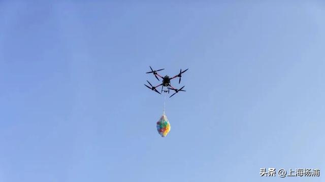 周末去哪儿玩？来杨浦这里“赶集”了