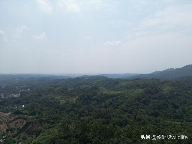 成都徒步（68）·彭州篇⑮佛山古寺&镇国寺宝塔