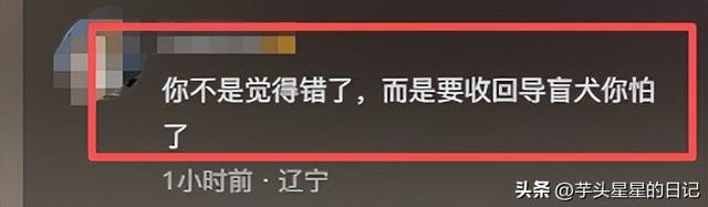 带导盲犬爬山后续：女主渴望被理解，坦言自己没错，澄清不是夫妻