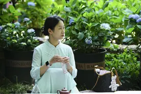无尽夏的夏 “五一”节来昆明郊野公园看绣球花展图片