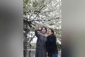 20分钟直达！桂林竟藏着这般如雪梨花仙境图片