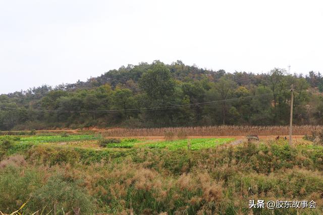 组图：牟平区莒格庄镇“福禄地”村掠影