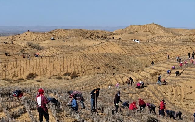 别再忽视！蒙古国的暗中操作，正在吞噬中国人40年的奋斗成果！