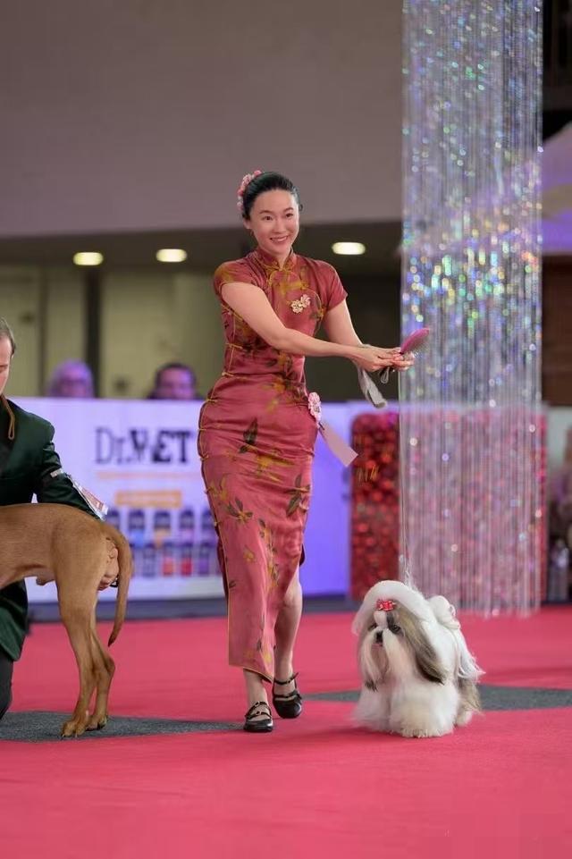霍思燕携爱犬参加国际比赛获得全场总冠军，杜江自豪发文