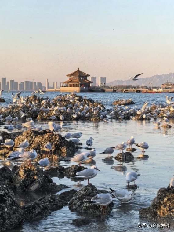 乘着地铁逛青岛｜解锁奇趣山海和人间烟火