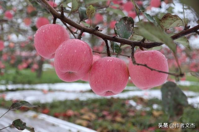 走马观花探白水