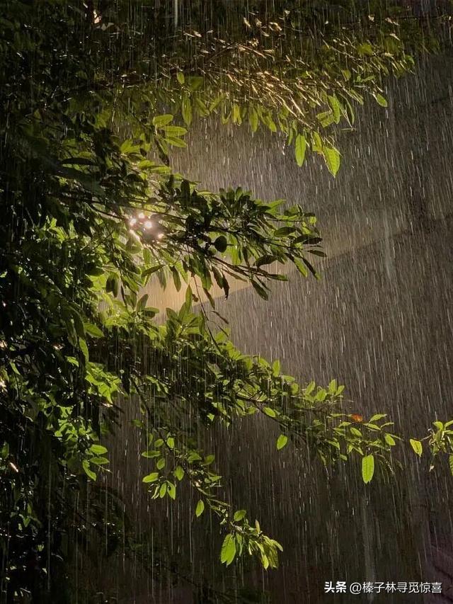 “下雨了这么发，能把人笑死”的搞笑句子
