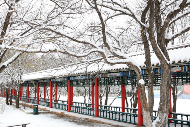 2025冬游牙克石全攻略｜3天解锁冰雪秘境极寒狂欢