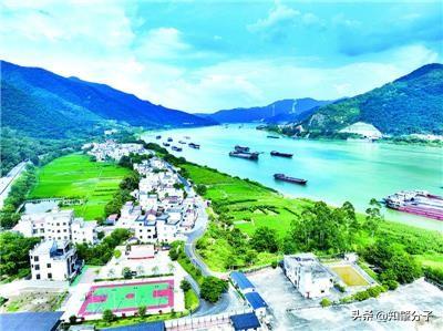 德庆县悦城镇奇槎村：墙上写故事 江边铺彩虹