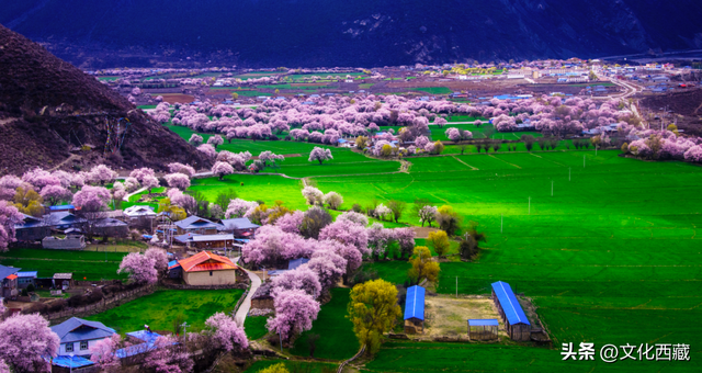 西藏2地入选2025中国最美县域榜单！为何是它们？
