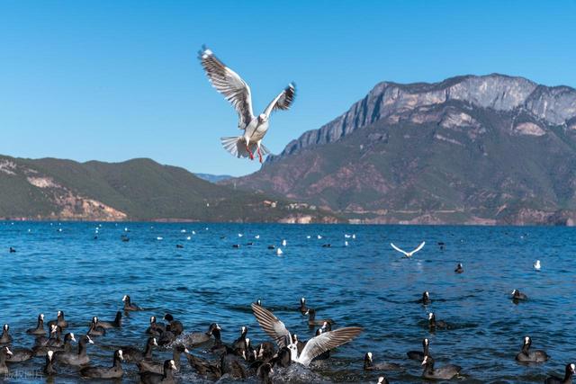 2月旅行好去处，去这6个地方，看看大自然，少想烦心事