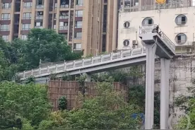 平均出行时耗30分钟！重庆中心城区交通发展最新报告来了→图片