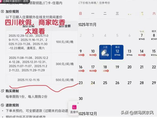 春秋假之痛:我们与孩子之间,横亘着资本的贪婪