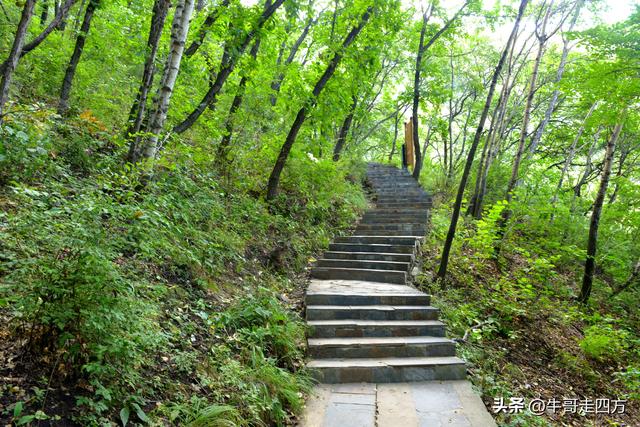 河北百草畔（上）：风动孤石悬险韵，蚁巡深岭蕴生机